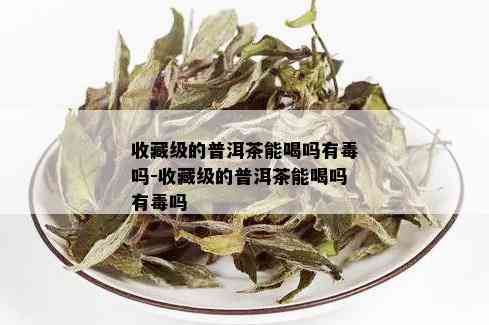 收藏级的普洱茶能喝吗有吗-收藏级的普洱茶能喝吗有吗