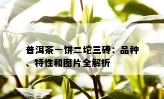 普洱茶一饼二坨三砖：品种、特性和图片全解析