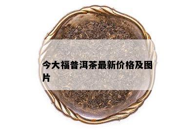 今大福普洱茶最新价格及图片