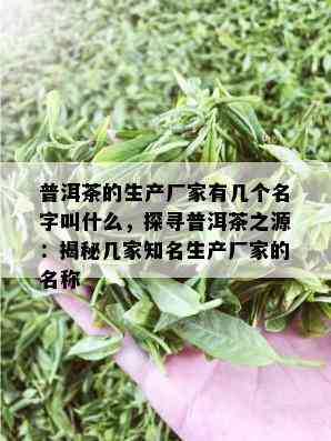 普洱茶的生产厂家有几个名字叫什么，探寻普洱茶之源：揭秘几家知名生产厂家的名称