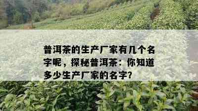 普洱茶的生产厂家有几个名字呢，探秘普洱茶：你知道多少生产厂家的名字？