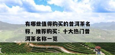 有哪些值得购买的普洱茶名称，推荐购买：十大热门普洱茶名称一览