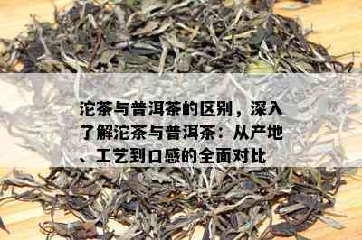 沱茶与普洱茶的区别，深入了解沱茶与普洱茶：从产地、工艺到口感的全面对比