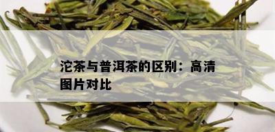 沱茶与普洱茶的区别：高清图片对比