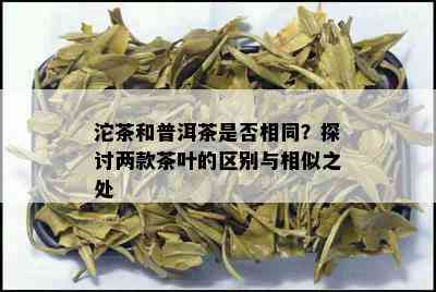 沱茶和普洱茶是否相同？探讨两款茶叶的区别与相似之处