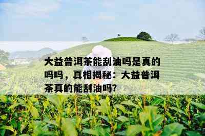 大益普洱茶能刮油吗是真的吗吗，真相揭秘：大益普洱茶真的能刮油吗？