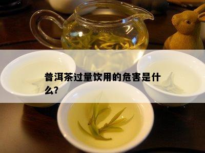 普洱茶过量饮用的危害是什么？