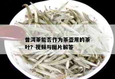 普洱茶能否作为茶壶用的茶叶？视频与图片解答