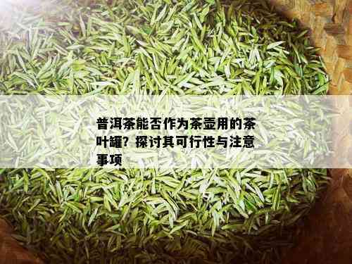 普洱茶能否作为茶壶用的茶叶罐？探讨其可行性与注意事项