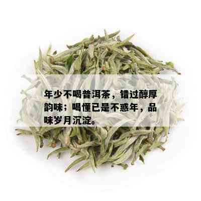 年少不喝普洱茶，错过醇厚韵味；喝懂已是不惑年，品味岁月沉淀。