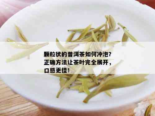 颗粒状的普洱茶如何冲泡？正确方法让茶叶完全展开，口感更佳！