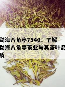 勐海八角亭7540：了解勐海八角亭茶业与其茶叶品质