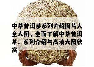 中茶普洱茶系列介绍图片大全大图，全面了解中茶普洱茶：系列介绍与高清大图欣赏