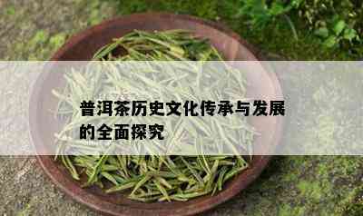 普洱茶历史文化传承与发展的全面探究