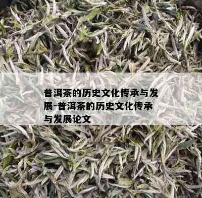 普洱茶的历史文化传承与发展-普洱茶的历史文化传承与发展论文