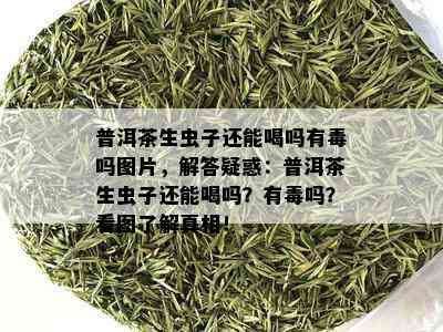 普洱茶生虫子还能喝吗有吗图片，解答疑惑：普洱茶生虫子还能喝吗？有吗？看图了解真相！