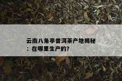 云南八角亭普洱茶产地揭秘：在哪里生产的？