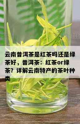 云南普洱茶是红茶吗还是绿茶好，普洱茶：红茶or绿茶？详解云南特产的茶叶种类