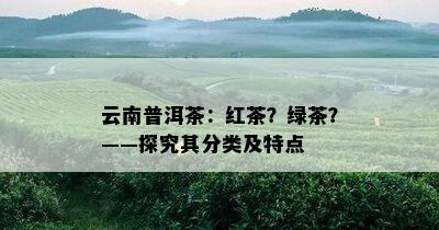 云南普洱茶：红茶？绿茶？——探究其分类及特点