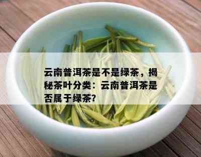 云南普洱茶是不是绿茶，揭秘茶叶分类：云南普洱茶是否属于绿茶？