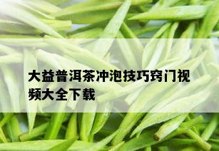 大益普洱茶冲泡技巧窍门视频大全下载