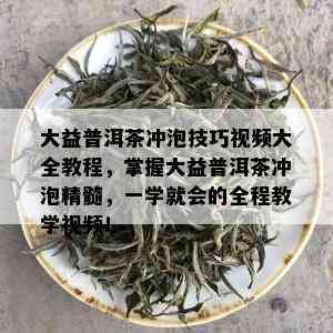 大益普洱茶冲泡技巧视频大全教程，掌握大益普洱茶冲泡精髓，一学就会的全程教学视频！