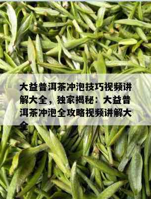 大益普洱茶冲泡技巧视频讲解大全，独家揭秘：大益普洱茶冲泡全攻略视频讲解大全