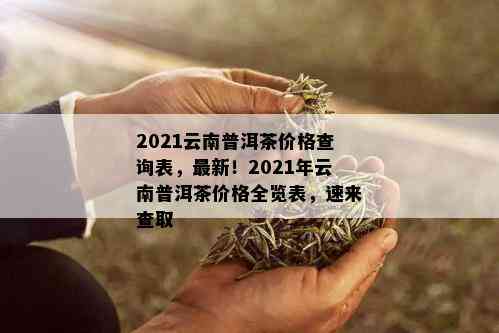 2021云南普洱茶价格查询表，最新！2021年云南普洱茶价格全览表，速来查取