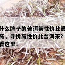 什么牌子的普洱茶性价比更高，寻找高性价比普洱茶？看这里！