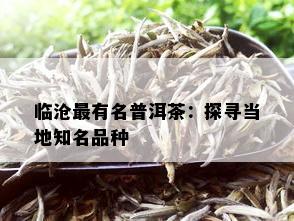 临沧最有名普洱茶：探寻当地知名品种