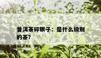 普洱茶碎银子：是什么级别的茶？