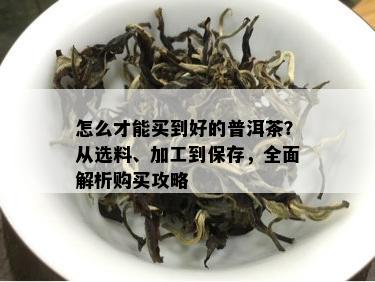 怎么才能买到好的普洱茶？从选料、加工到保存，全面解析购买攻略