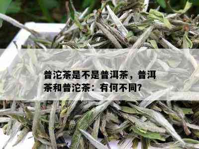 普沱茶是不是普洱茶，普洱茶和普沱茶：有何不同？