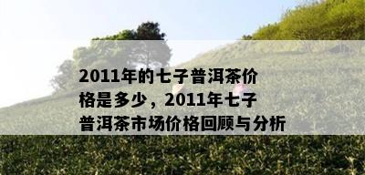 2011年的七子普洱茶价格是多少，2011年七子普洱茶市场价格回顾与分析