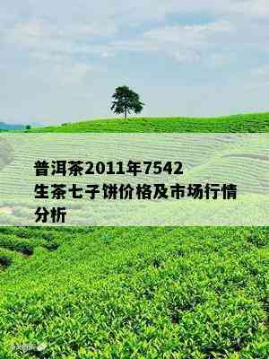 普洱茶2011年7542生茶七子饼价格及市场行情分析