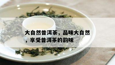 大自然普洱茶，品味大自然，享受普洱茶的韵味