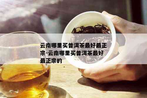 云南哪里买普洱茶更好最正宗-云南哪里买普洱茶更好最正宗的