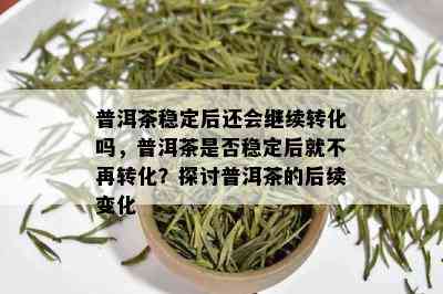 普洱茶稳定后还会继续转化吗，普洱茶是否稳定后就不再转化？探讨普洱茶的后续变化