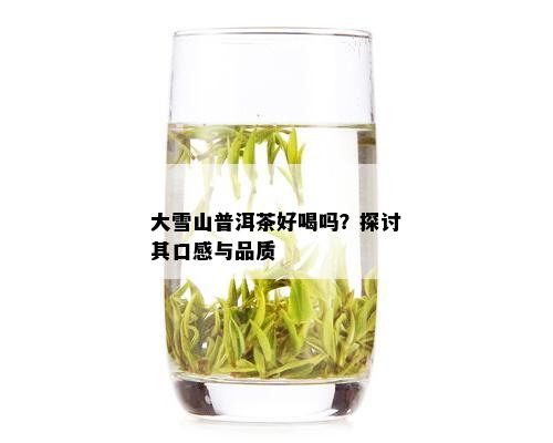 大雪山普洱茶好喝吗？探讨其口感与品质