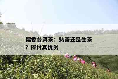 糯香普洱茶：熟茶还是生茶？探讨其优劣