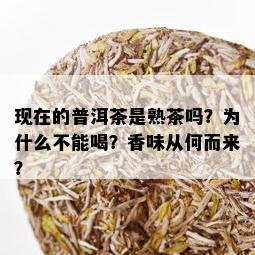 现在的普洱茶是熟茶吗？为什么不能喝？香味从何而来？