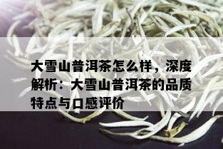 大雪山普洱茶怎么样，深度解析：大雪山普洱茶的品质特点与口感评价