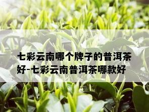 七彩云南哪个牌子的普洱茶好-七彩云南普洱茶哪款好