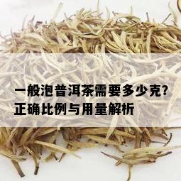 一般泡普洱茶需要多少克？正确比例与用量解析