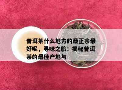 普洱茶什么地方的最正宗更好呢，寻味之旅：揭秘普洱茶的更佳产地与