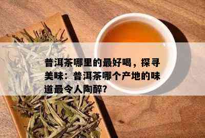 普洱茶哪里的更好喝，探寻美味：普洱茶哪个产地的味道最令人陶醉？