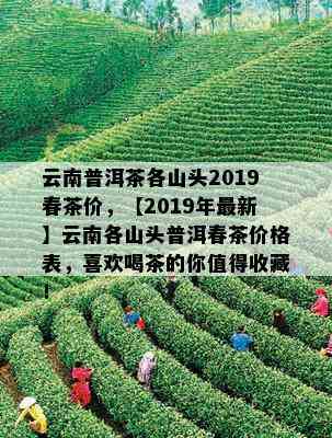 云南普洱茶各山头2019春茶价，【2019年最新】云南各山头普洱春茶价格表，喜欢喝茶的你值得收藏！