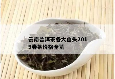 云南普洱茶各大山头2019春茶价格全览