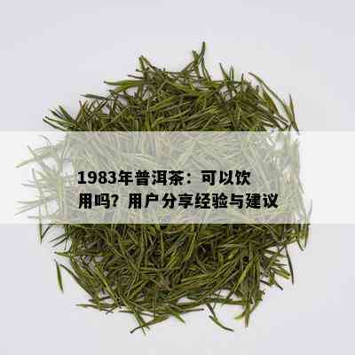 1983年普洱茶：可以饮用吗？用户分享经验与建议