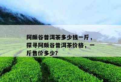 阿颇谷普洱茶多少钱一斤，探寻阿颇谷普洱茶价格，一斤售价多少？